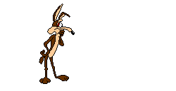 roadrunner3.gif